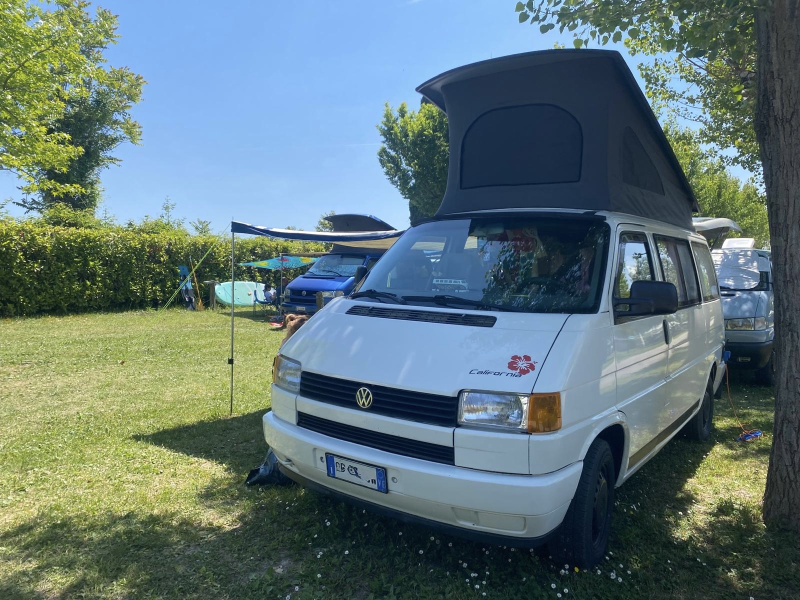 Tutti i Mezzi del Meeting T4 2026